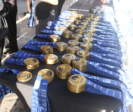 A table displaying numerous gold medals with blue ribbons, arranged neatly in rows, ready for an award ceremony.